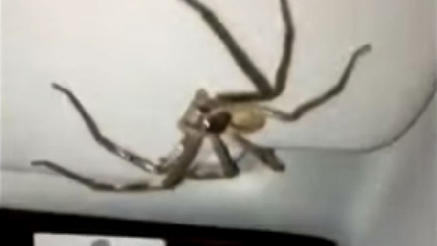 Nope nope nope.