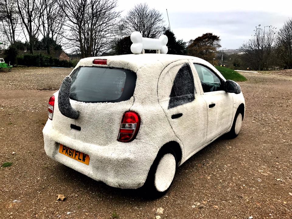 Behold A Nissan Micra That Looks Like A Dog, Sort Of