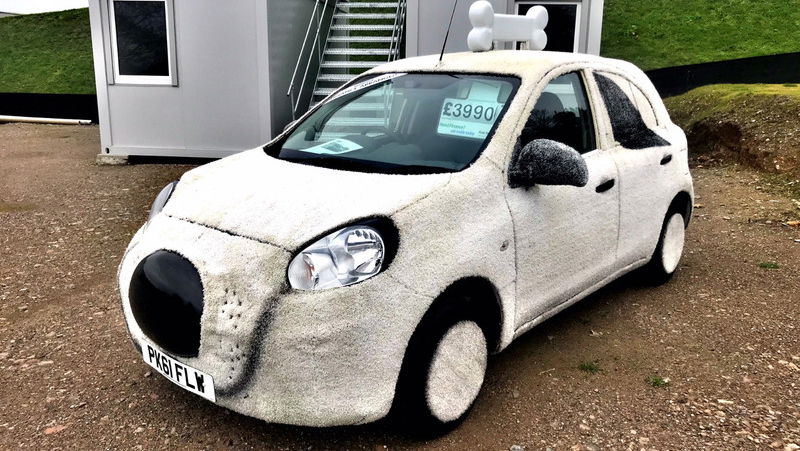 Behold A Nissan Micra That Looks Like A Dog, Sort Of
