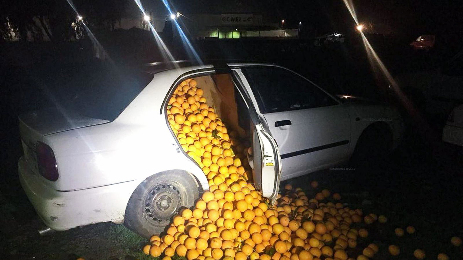 Hapless Fruit Thieves Caught With An Entire Car Full Of Oranges