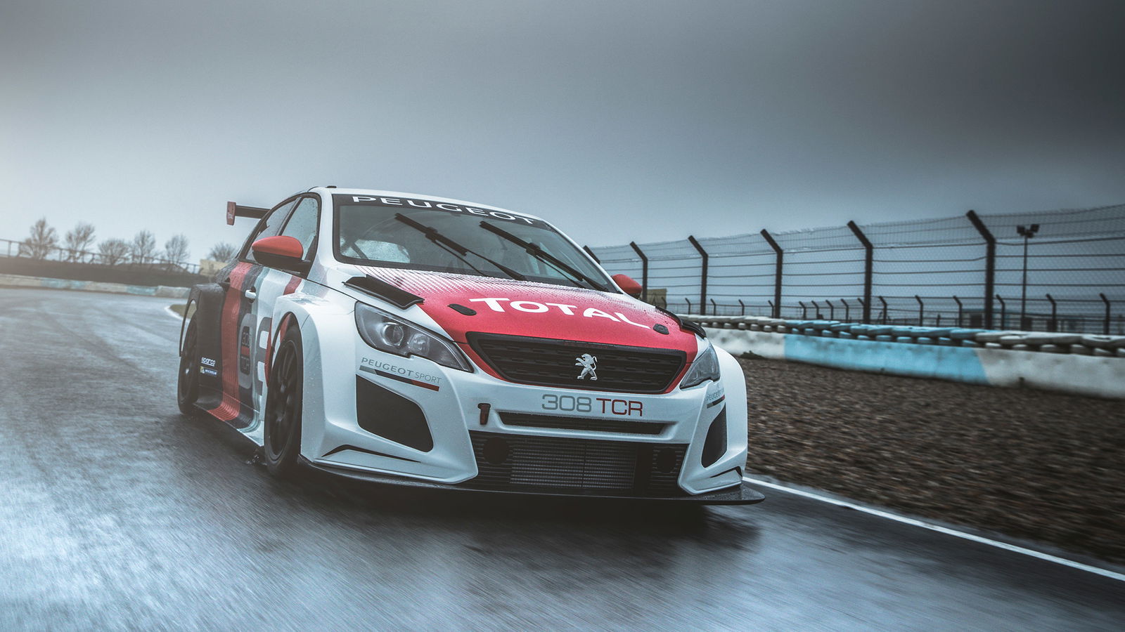 Say Hello To The Anger-Spec Peugeot 308 TCR Racing Car