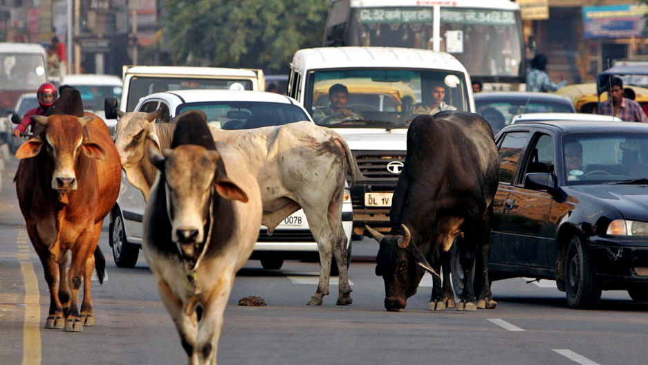 CT fans of India! We might be heading to India soon for video fun - what cool stuff should we do/see with cars?!
