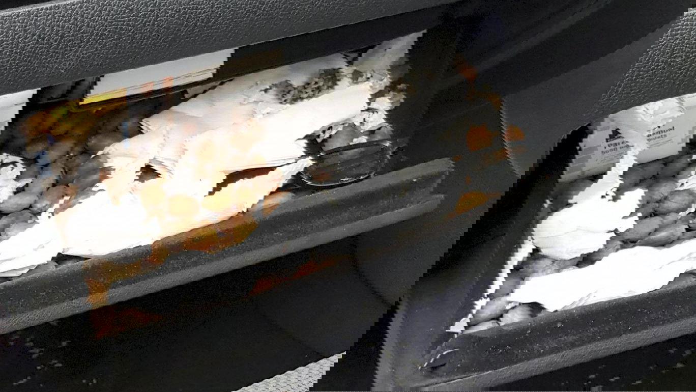 Squirrels Broke A Car By Shoving Acorns Into The Gear Linkage