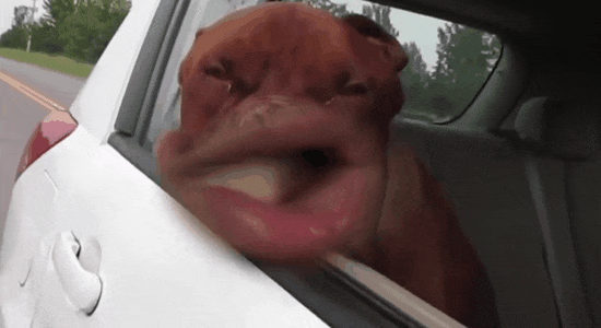 What Causes That Awful Buffeting Sound When You Open One Car Window?