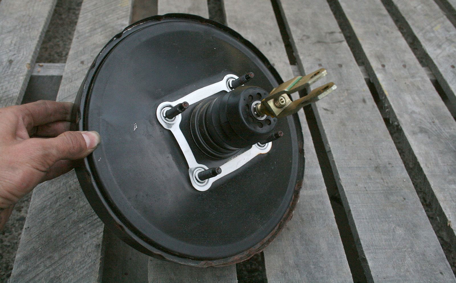 Image via Wikimedia Commons/Ildar Sagdejev