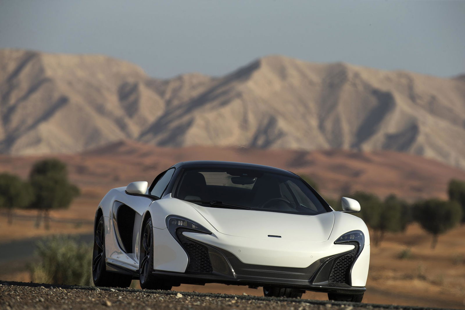 An Online Reseller Is Recruiting Someone To Find Abandoned Supercars