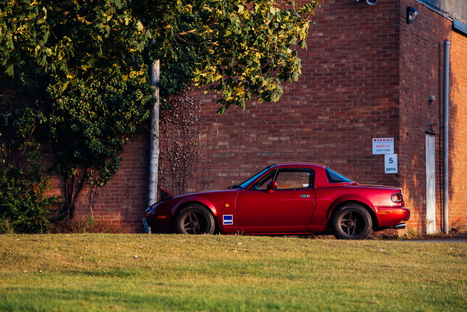 Here's Why I'm Addicted To Buying Cheap Old Cars