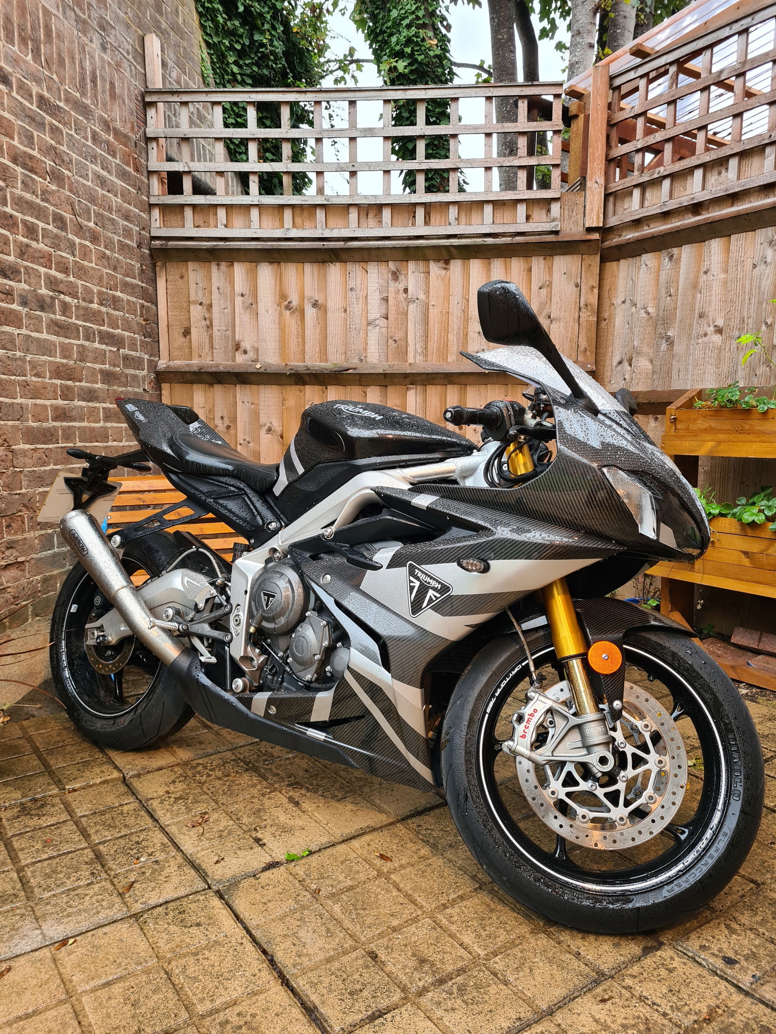 Triumph Daytona Moto2 765 Review: A Carbon Missile With Indicators