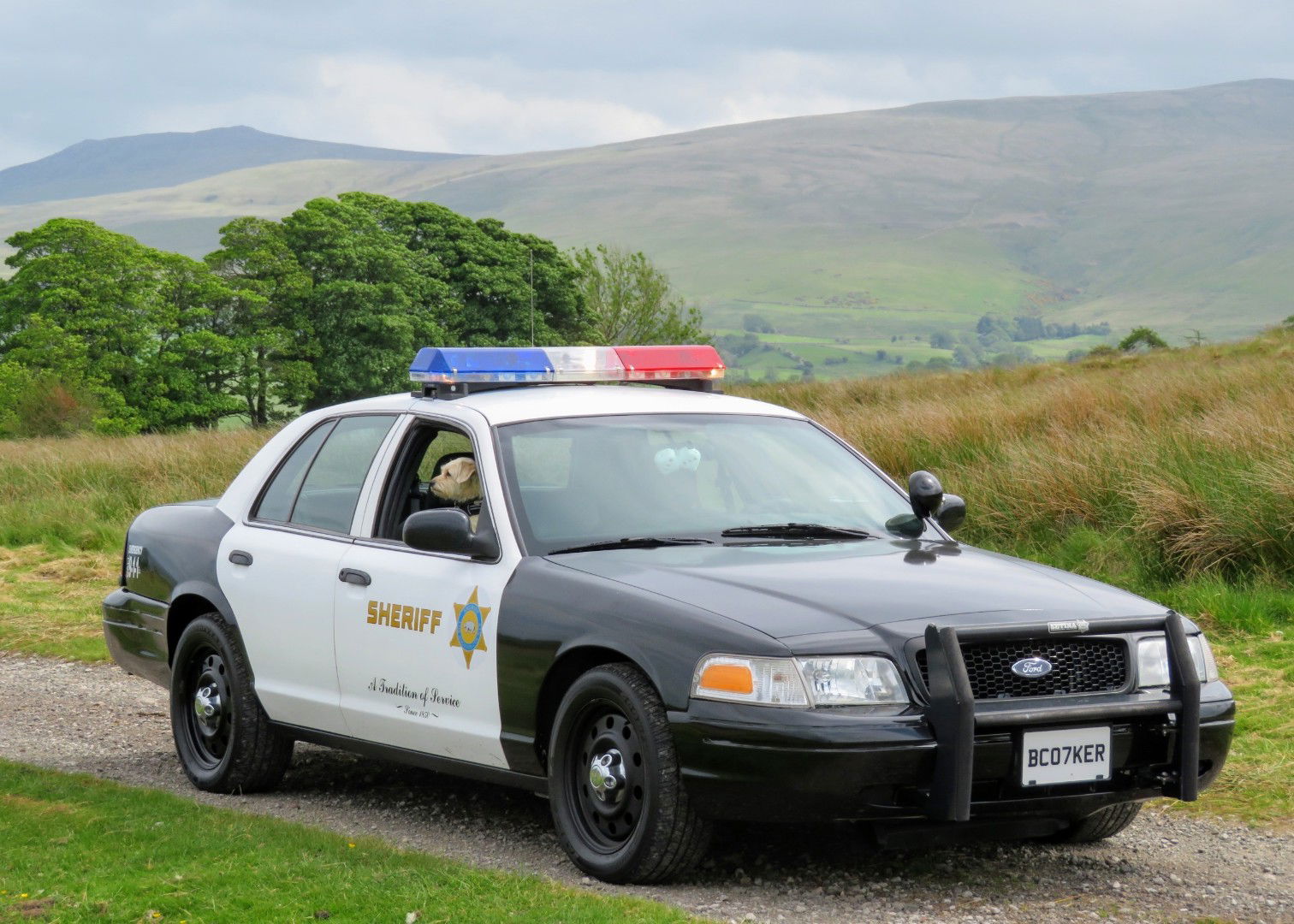 Top 10 Best Project Cars Submitted By You: From A Hakosuka To An Ex-Cop Car