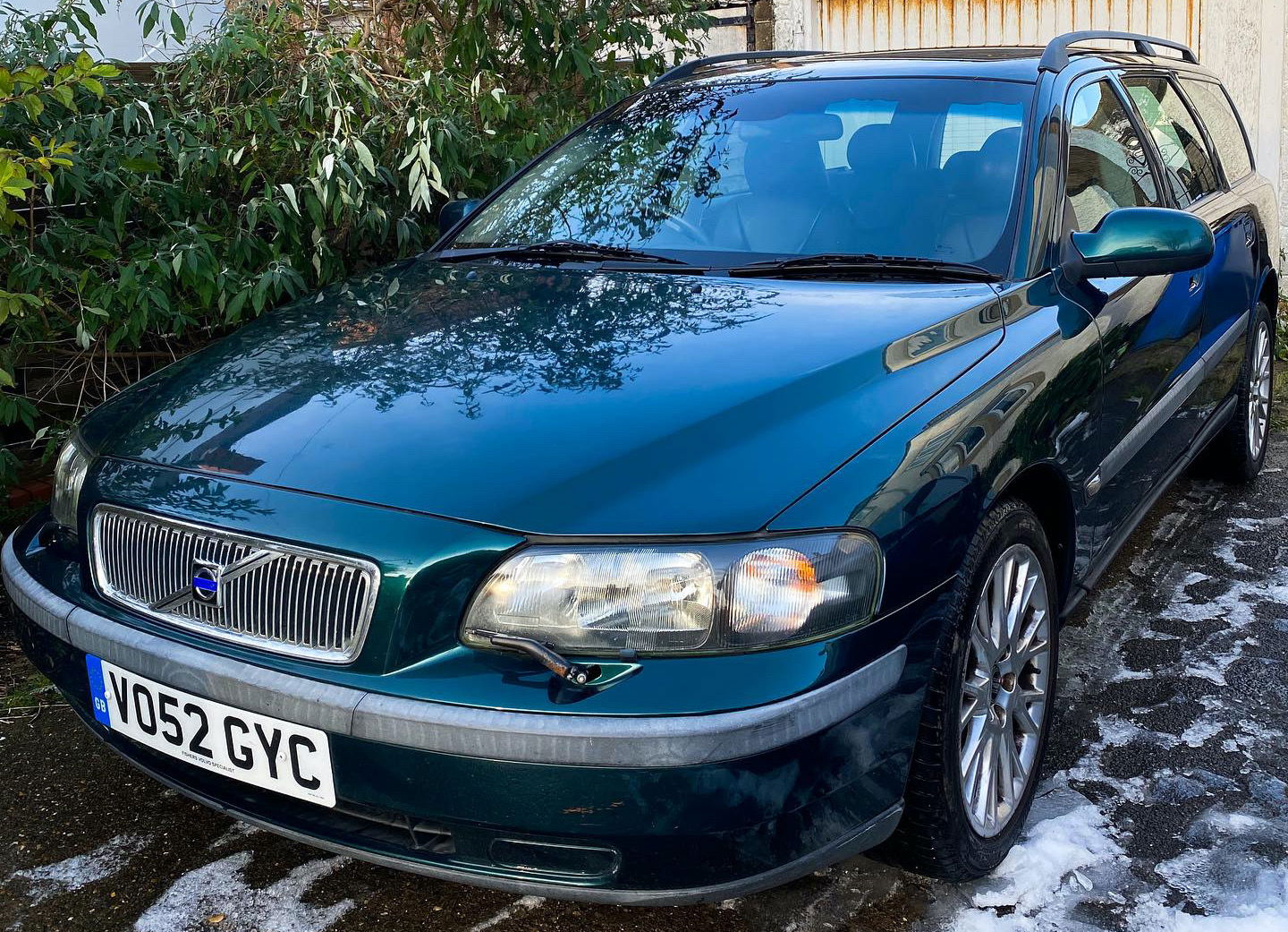 David looking handsome. The green paint works so well.