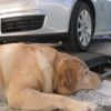 6 Things Your Car Deserves Right Now